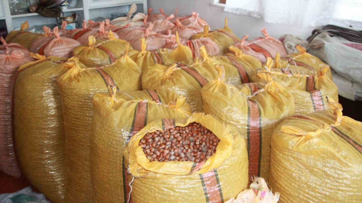 Fındık üreticilerinin “artış” beklentisi: Evde depoluyorlar!