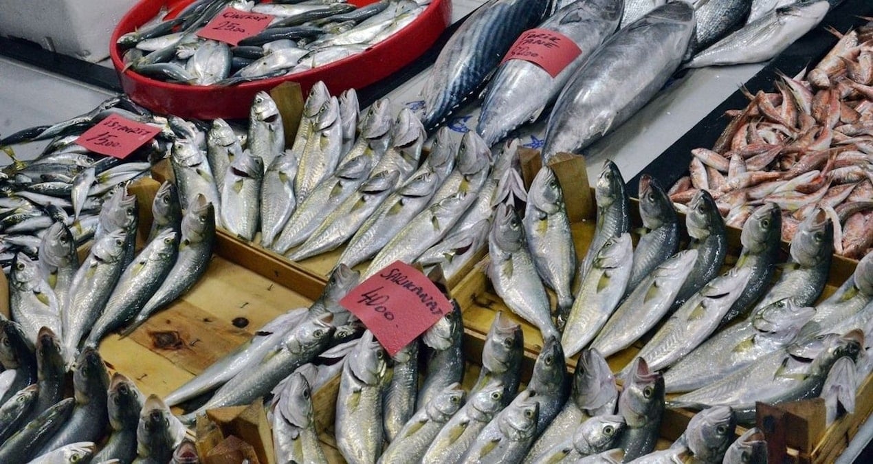 vatandas bu yil baliga doyacak kilosu 100 liraya kadar dustu llEKFMhi