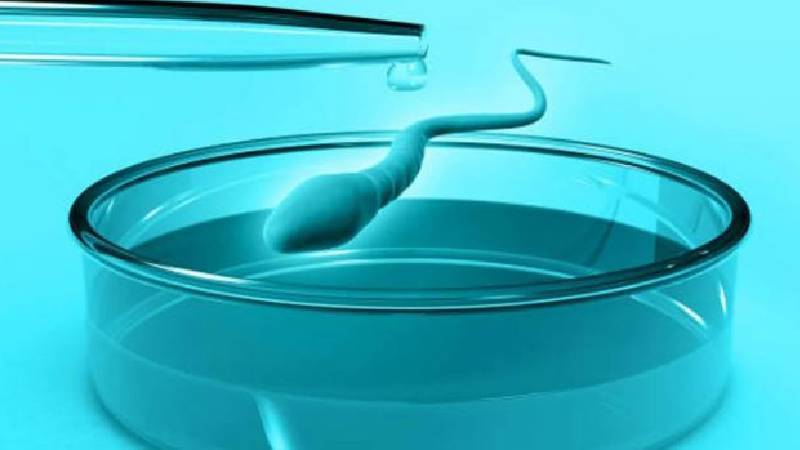 Kadınlar sosyal medyada sperm arıyor: Sanal sperm bağışı tıp dünyasında endişe yarattı