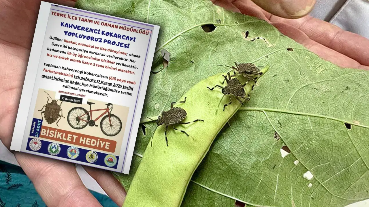 ‘Kokarca toplama’ projesine CHP’den tepki: ‘Bilimle mücadele edeceğimize, çocukları kullanıyoruz!’