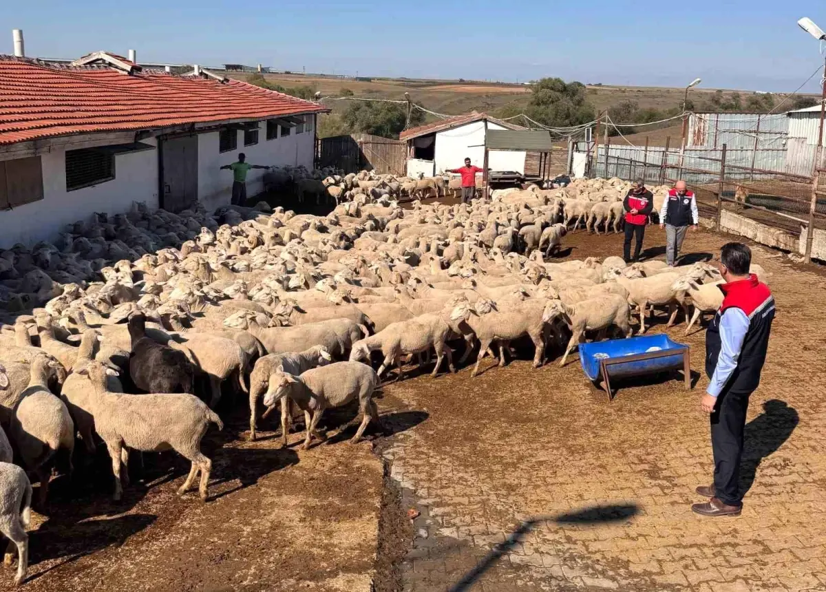 Tekirdağ Tarım ve Orman İl Müdürü Çiftçileri Ziyaret Etti