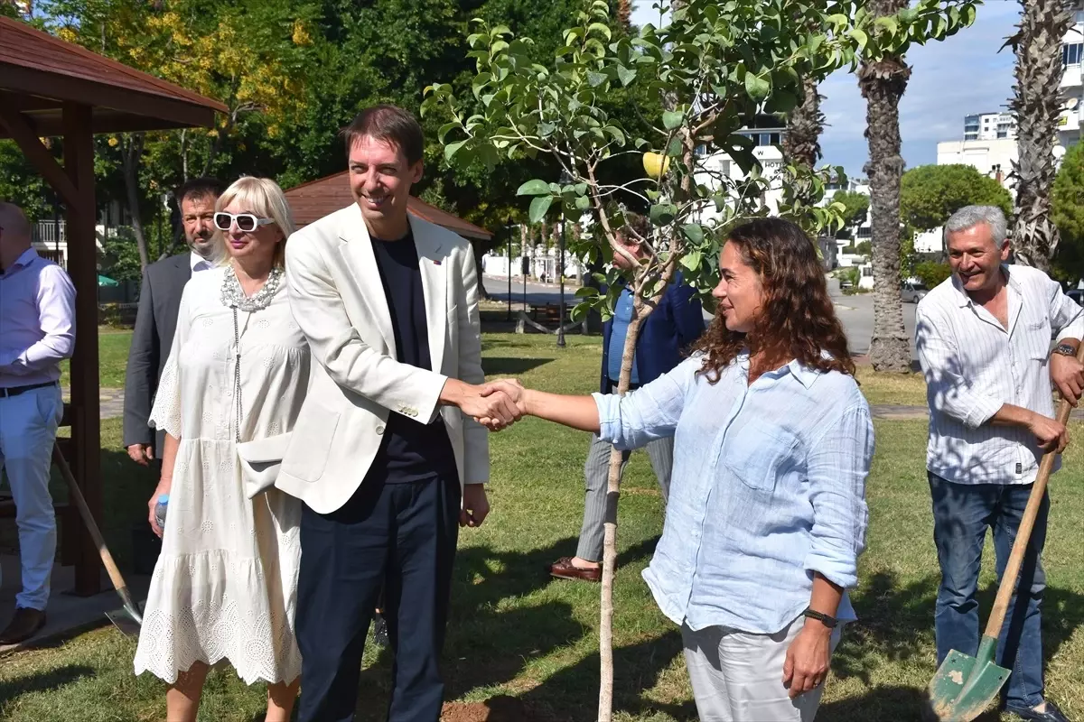 Ukrayna ve Türkiye’den Barış Ağacı