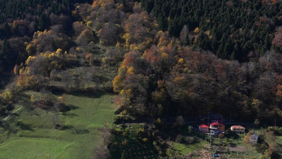 Hamsiköy sonbaharda renk cümbüşüne büründü