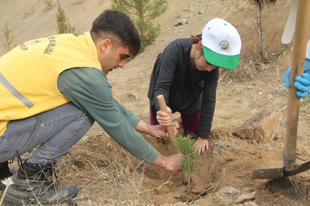 Oğuzlar’da Fidan Dikim Etkinliği