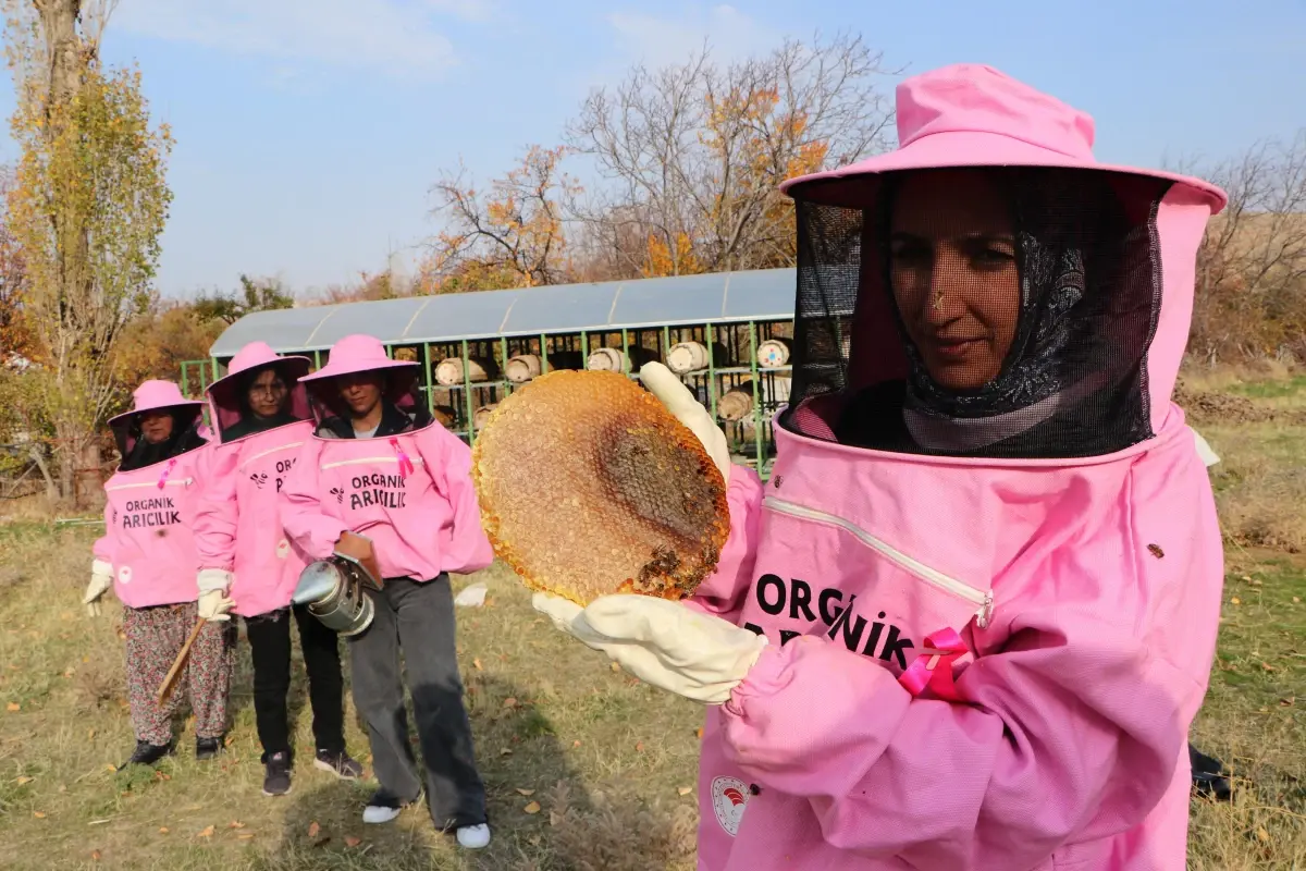 Van’da Kadın Arıcılardan Meme Kanseri Farkındalığı: Kara Kovan Balı Hasadı Başladı