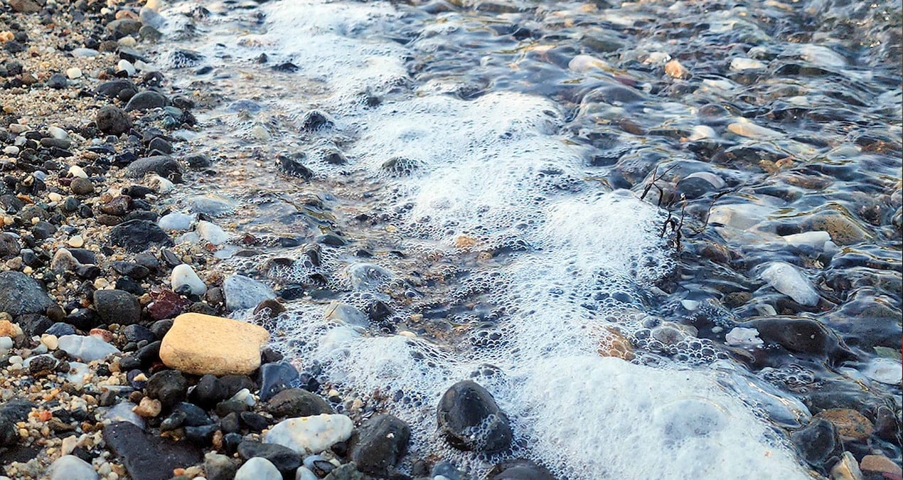 Bodrum’da mavi bayraklı koyda endişelendiren görüntü