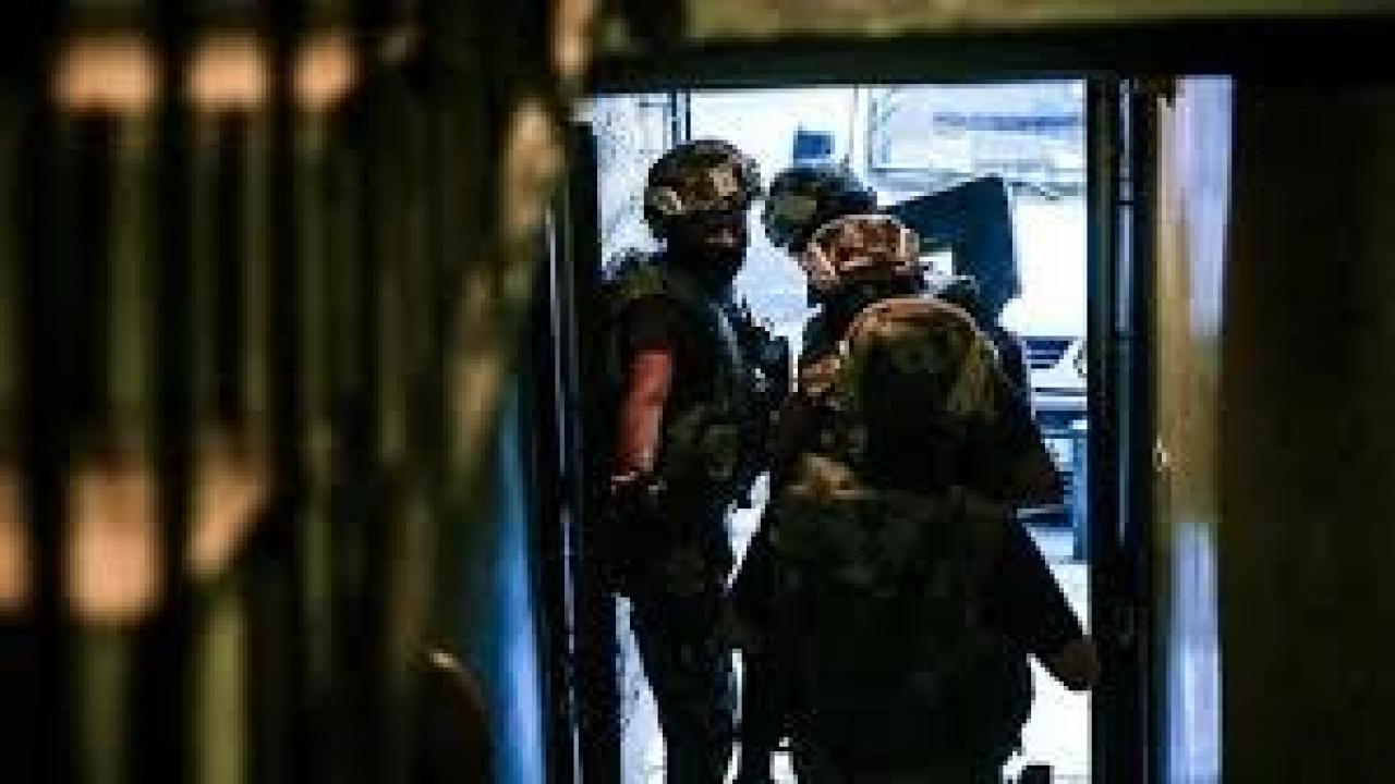 Mardin’de ele geçirildi: Tam 620 adet!