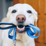 atlas-featured-7040-1775549689-TBJFPW